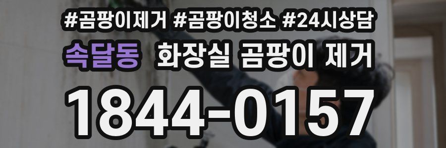 속달동 화장실 곰팡이 제거