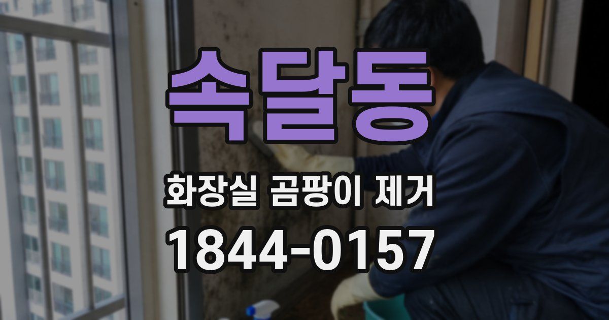 속달동 화장실 곰팡이 제거
