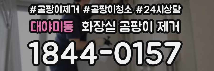 대야미동 화장실 곰팡이 제거