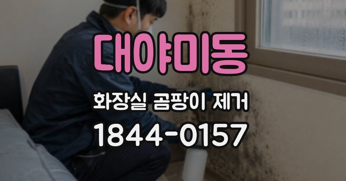 대야미동 화장실 곰팡이 제거