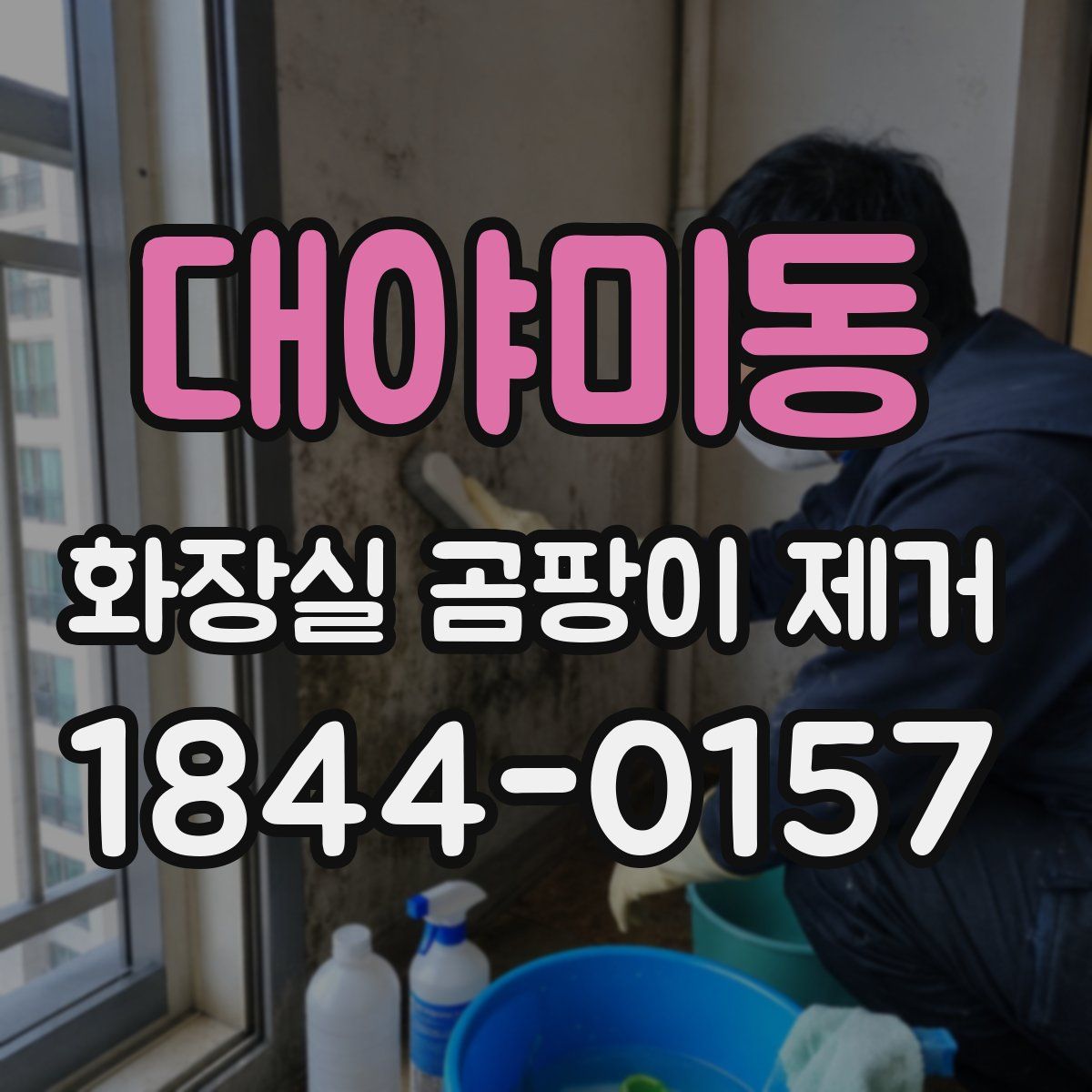 대야미동 화장실 곰팡이 제거