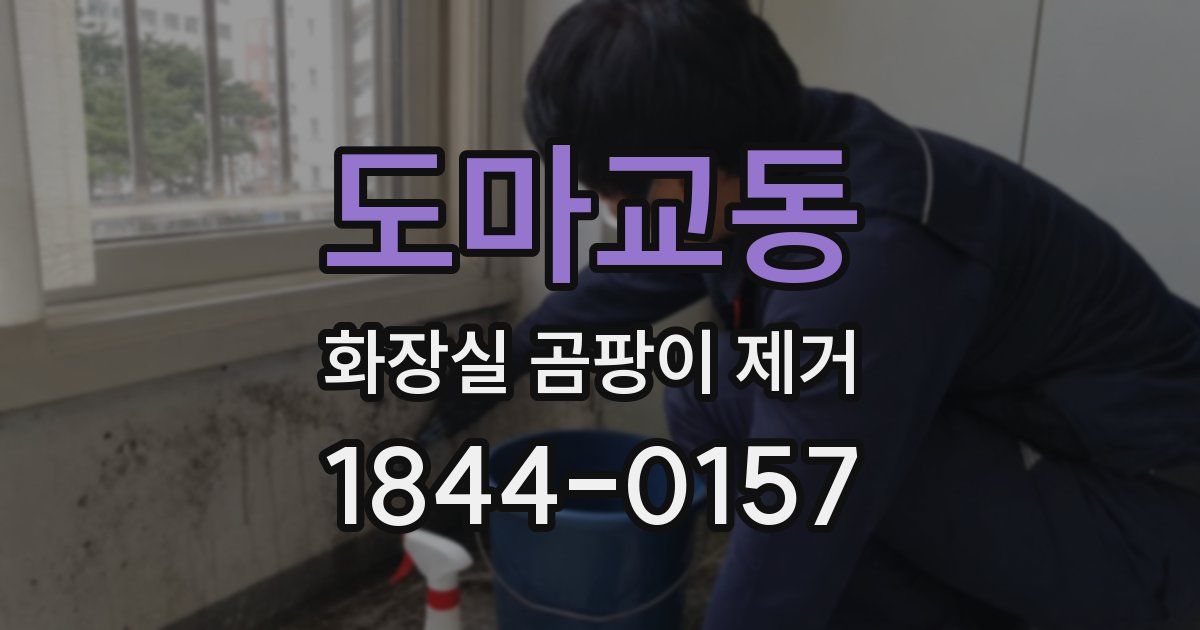 도마교동 화장실 곰팡이 제거
