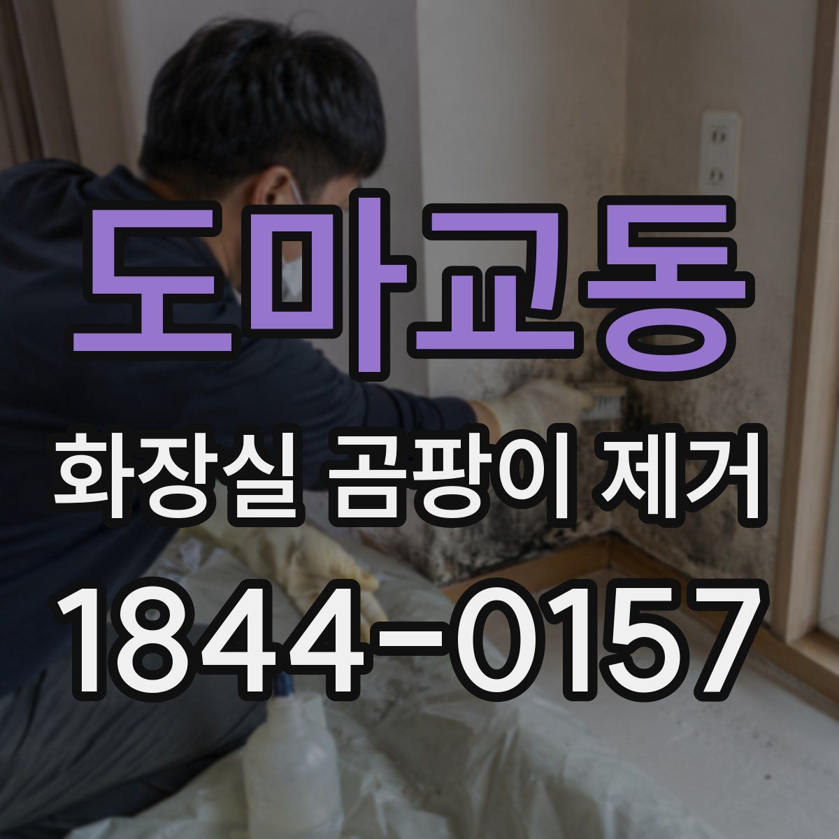 도마교동 화장실 곰팡이 제거