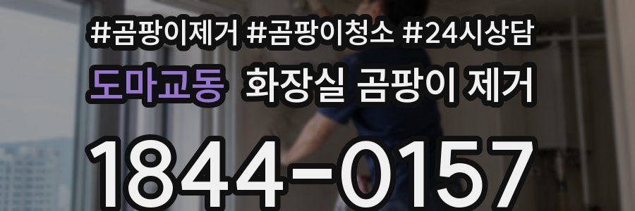 도마교동 화장실 곰팡이 제거
