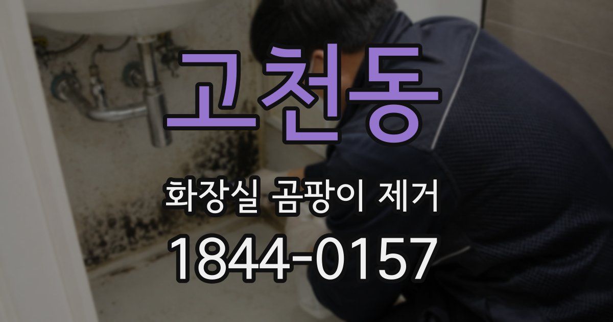 고천동 화장실 곰팡이 제거