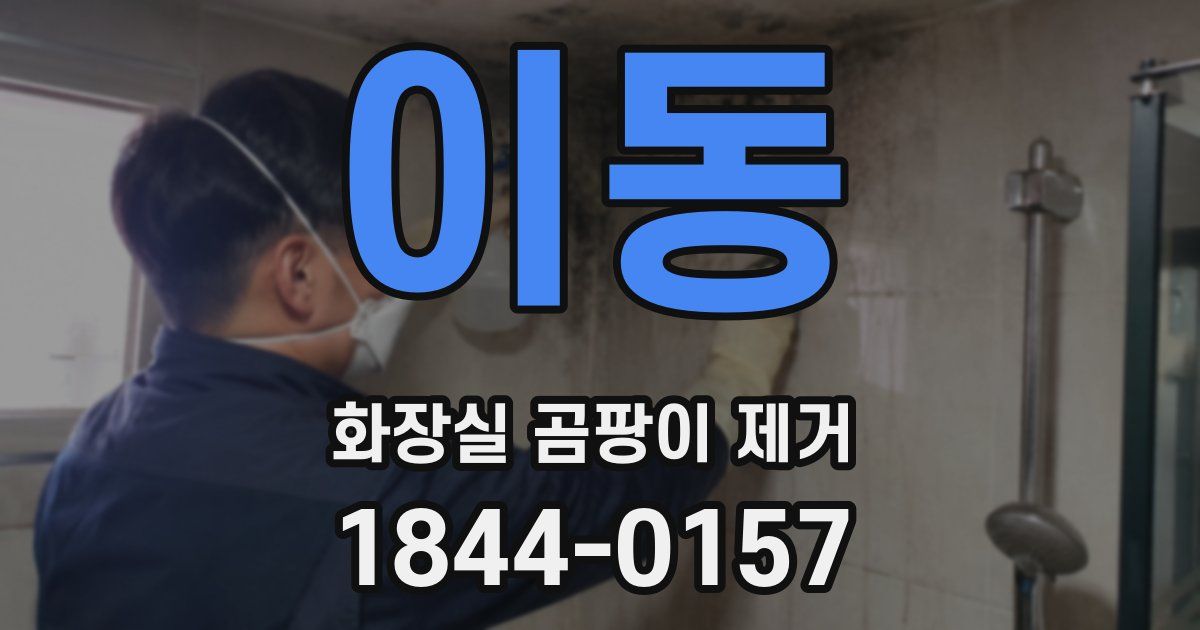이동 화장실 곰팡이 제거