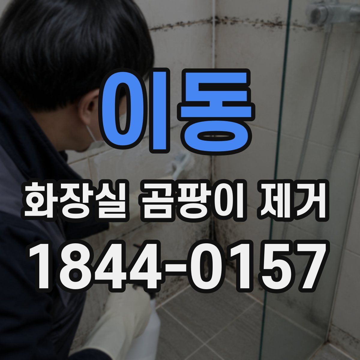 이동 화장실 곰팡이 제거