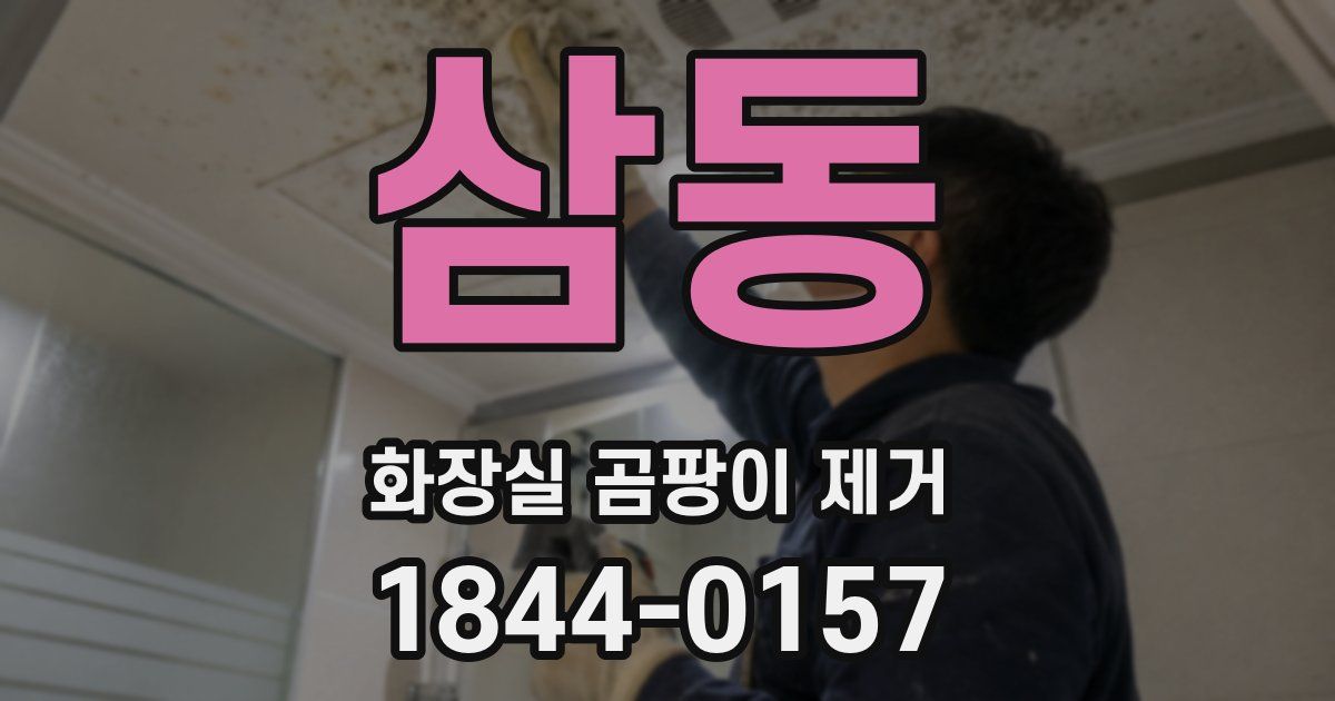 삼동 화장실 곰팡이 제거