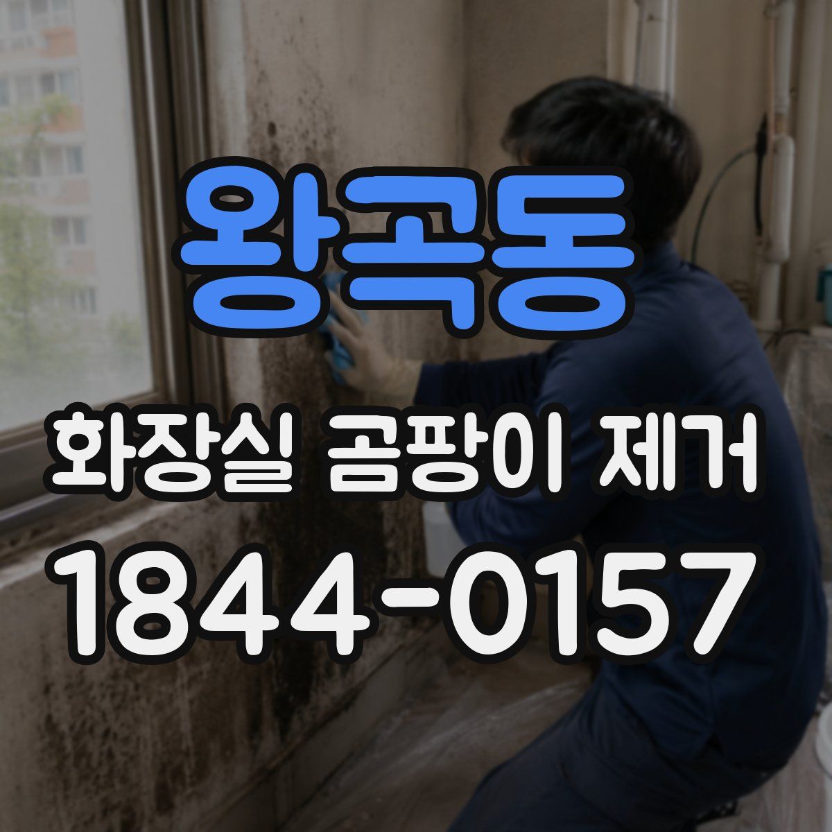 왕곡동 화장실 곰팡이 제거