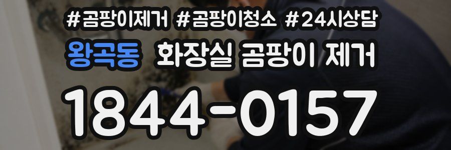 왕곡동 화장실 곰팡이 제거