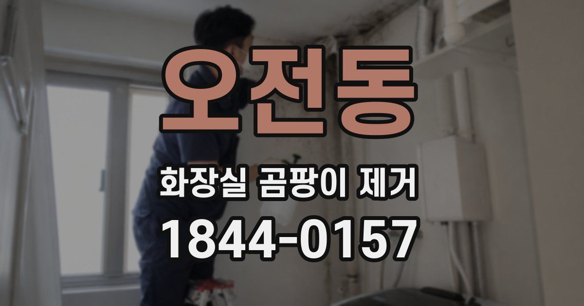 오전동 화장실 곰팡이 제거