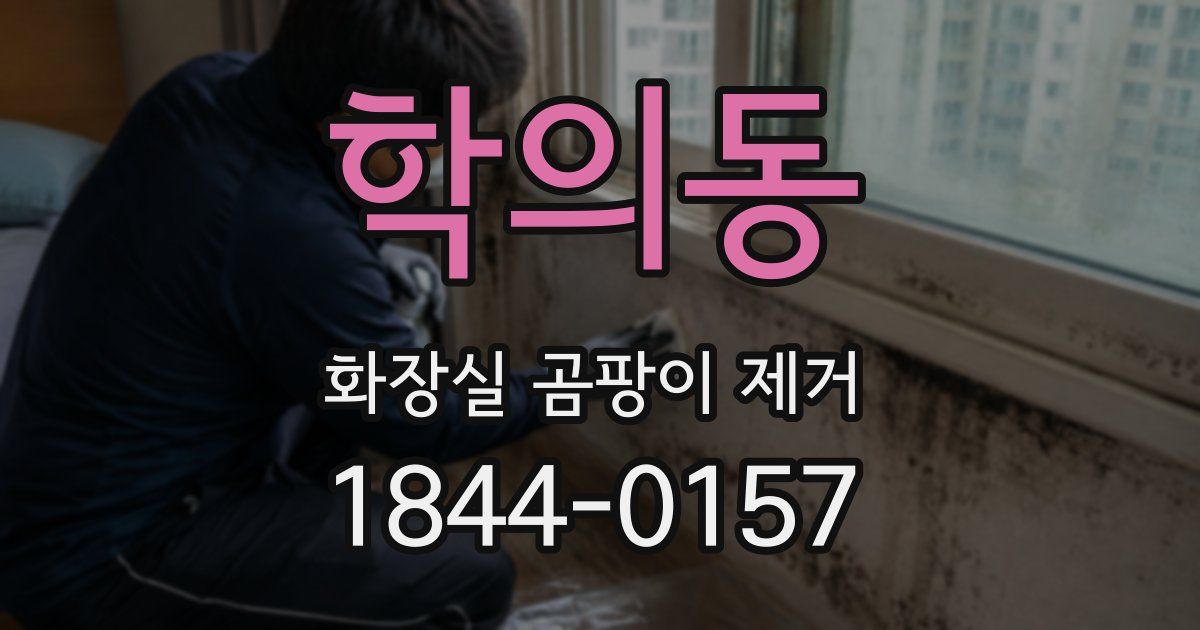 학의동 화장실 곰팡이 제거