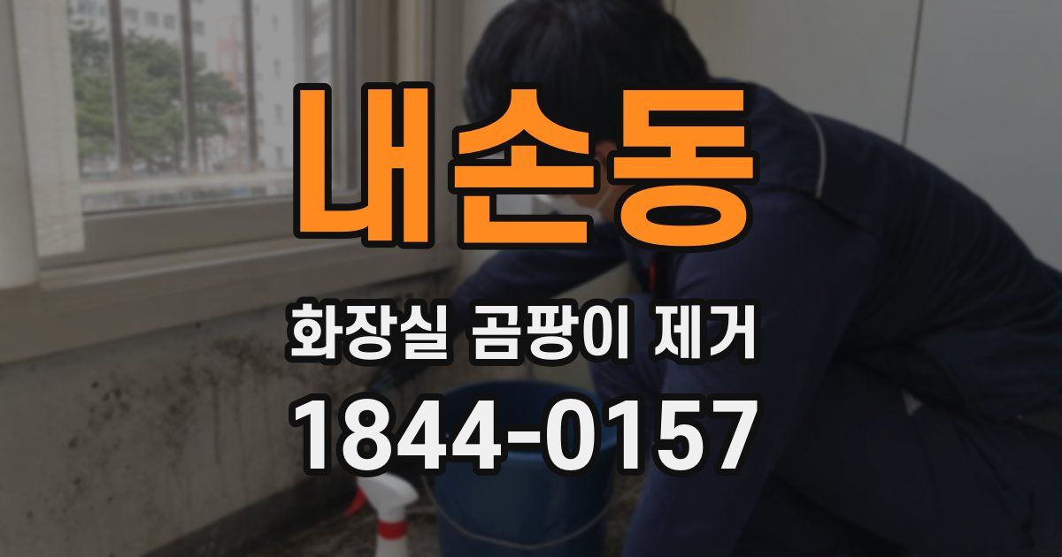 내손동 화장실 곰팡이 제거
