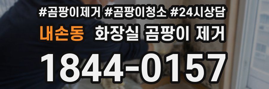내손동 화장실 곰팡이 제거