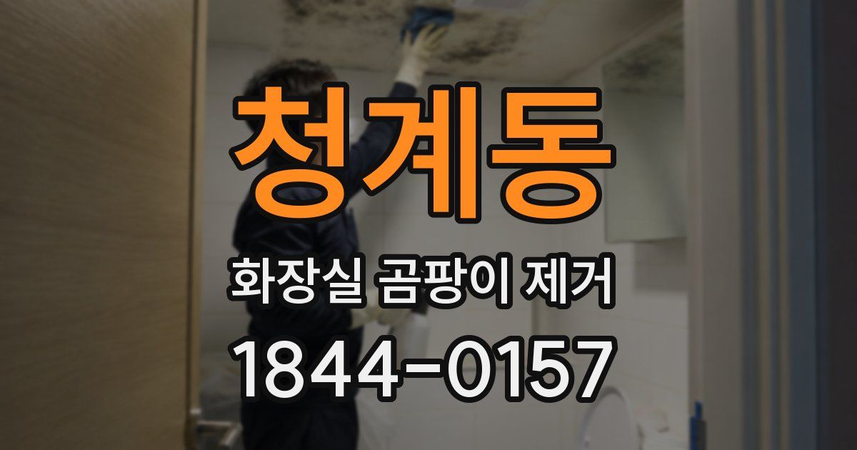 청계동 화장실 곰팡이 제거