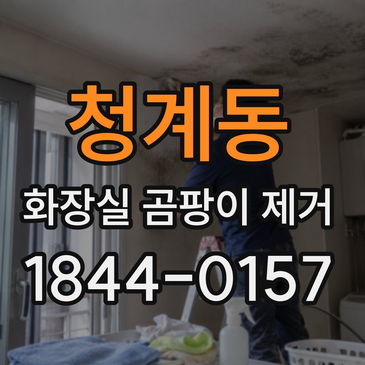청계동 화장실 곰팡이 제거