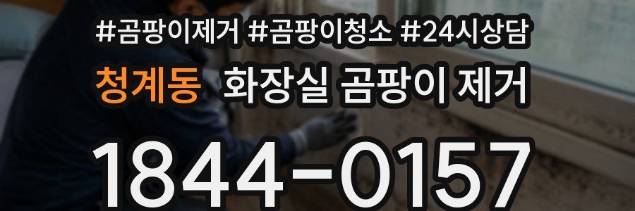 청계동 화장실 곰팡이 제거