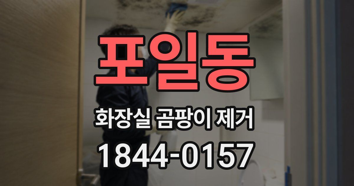 포일동 화장실 곰팡이 제거