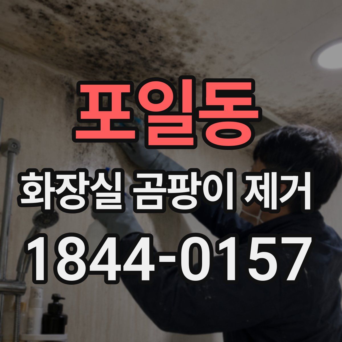 포일동 화장실 곰팡이 제거