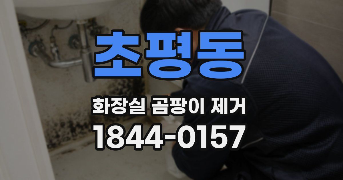 초평동 화장실 곰팡이 제거