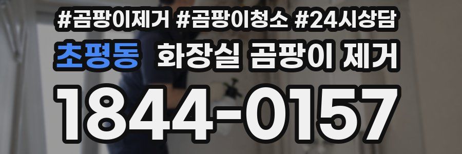 초평동 화장실 곰팡이 제거