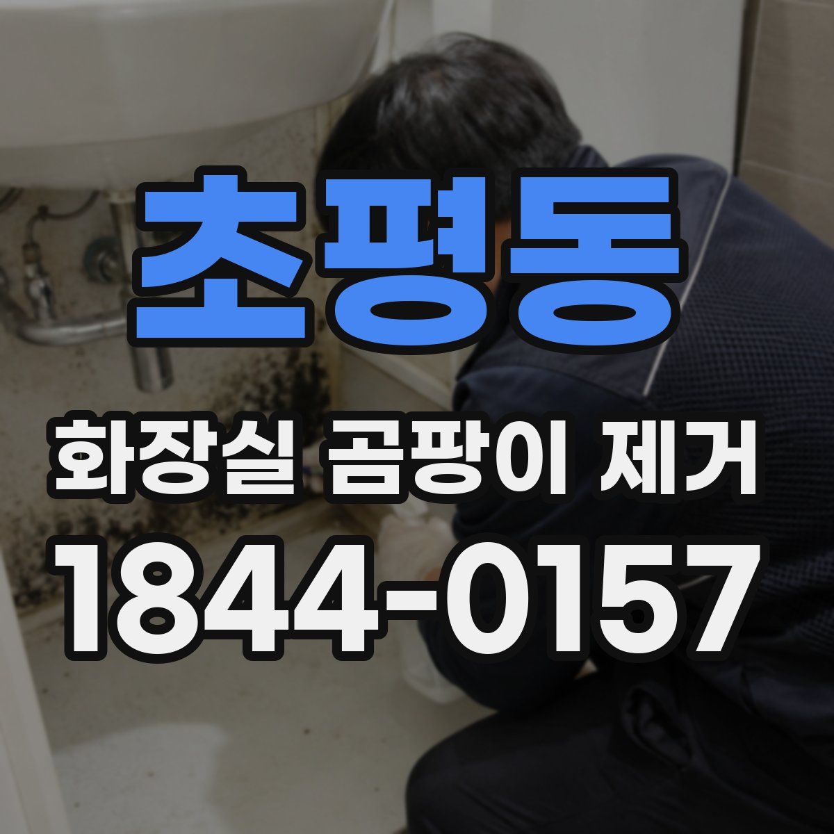 초평동 화장실 곰팡이 제거
