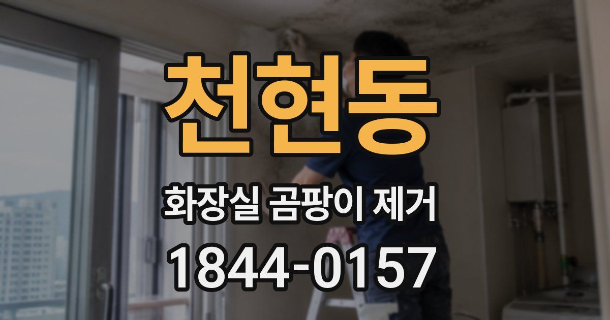 천현동 화장실 곰팡이 제거