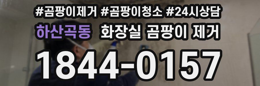 하산곡동 화장실 곰팡이 제거