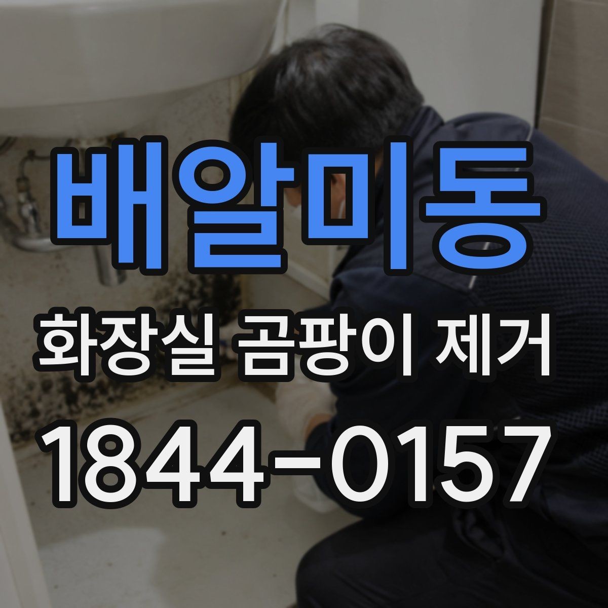 배알미동 화장실 곰팡이 제거 욕실 구조별 취약 지점부터 확인하기