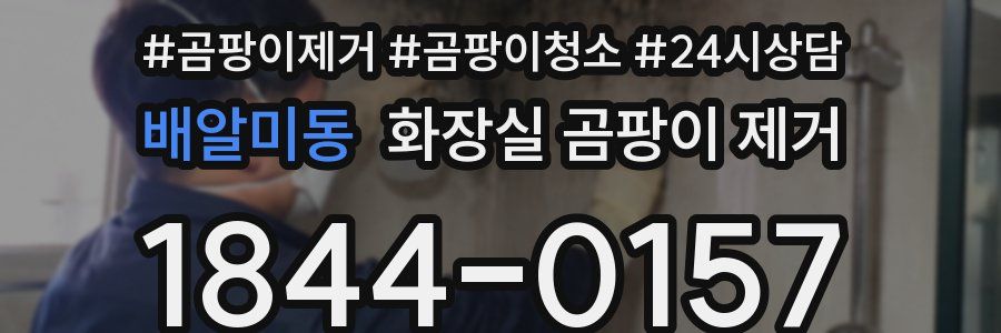 배알미동 화장실 곰팡이 제거