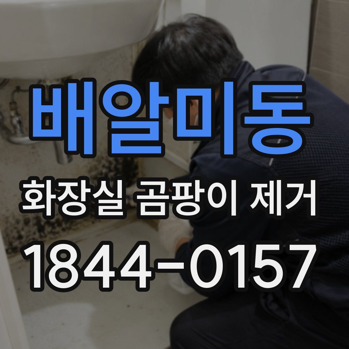 배알미동 화장실 곰팡이 제거