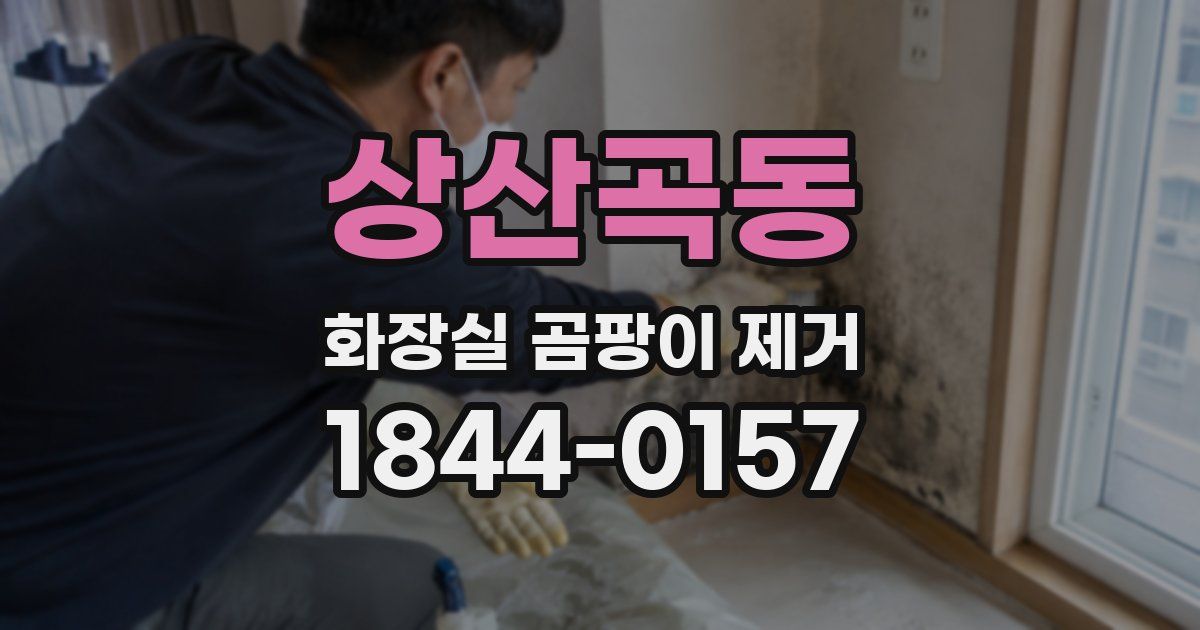 상산곡동 화장실 곰팡이 제거
