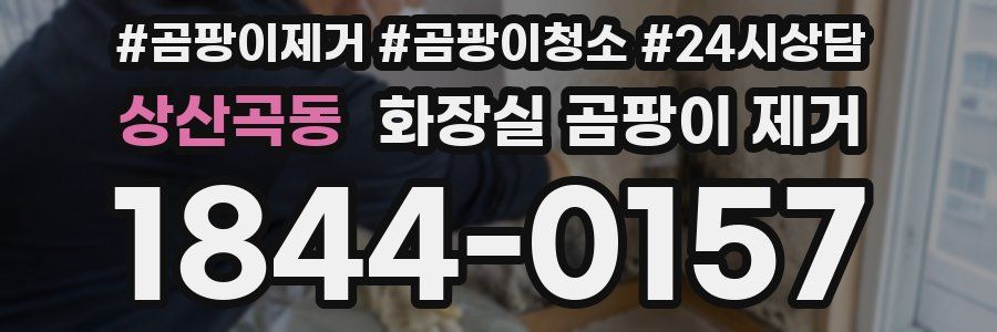 상산곡동 화장실 곰팡이 제거