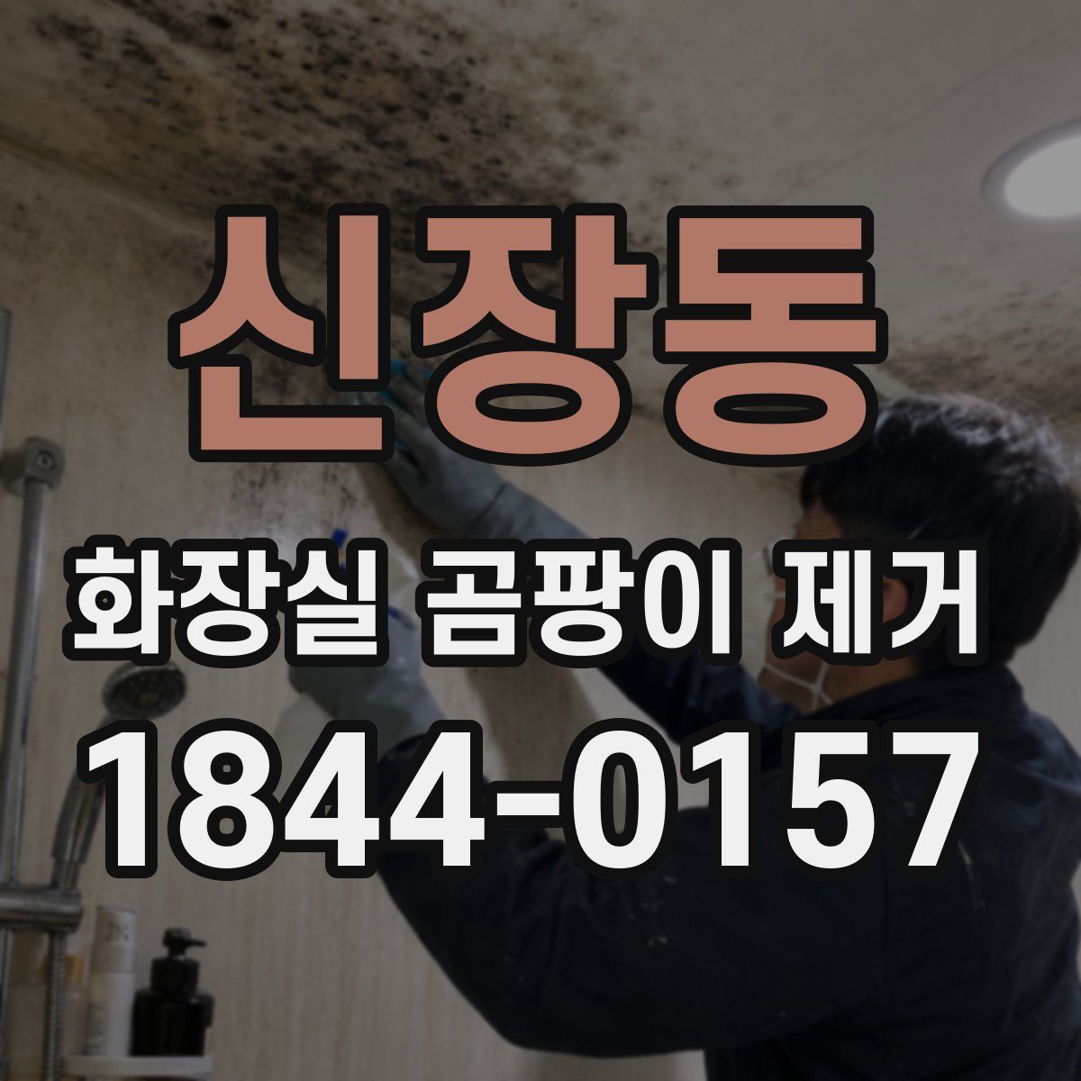 신장동 화장실 곰팡이 제거