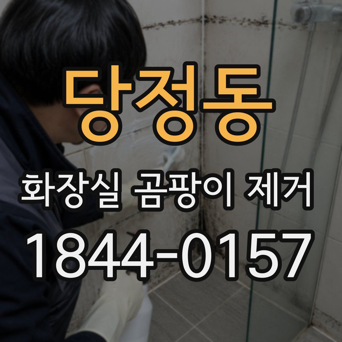 당정동 화장실 곰팡이 제거