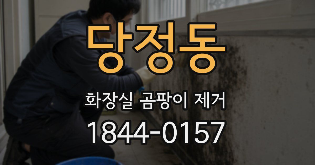 당정동 화장실 곰팡이 제거