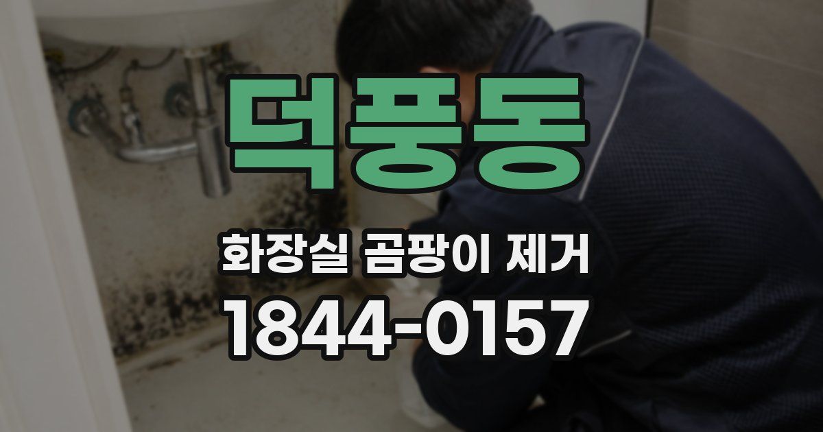 덕풍동 화장실 곰팡이 제거