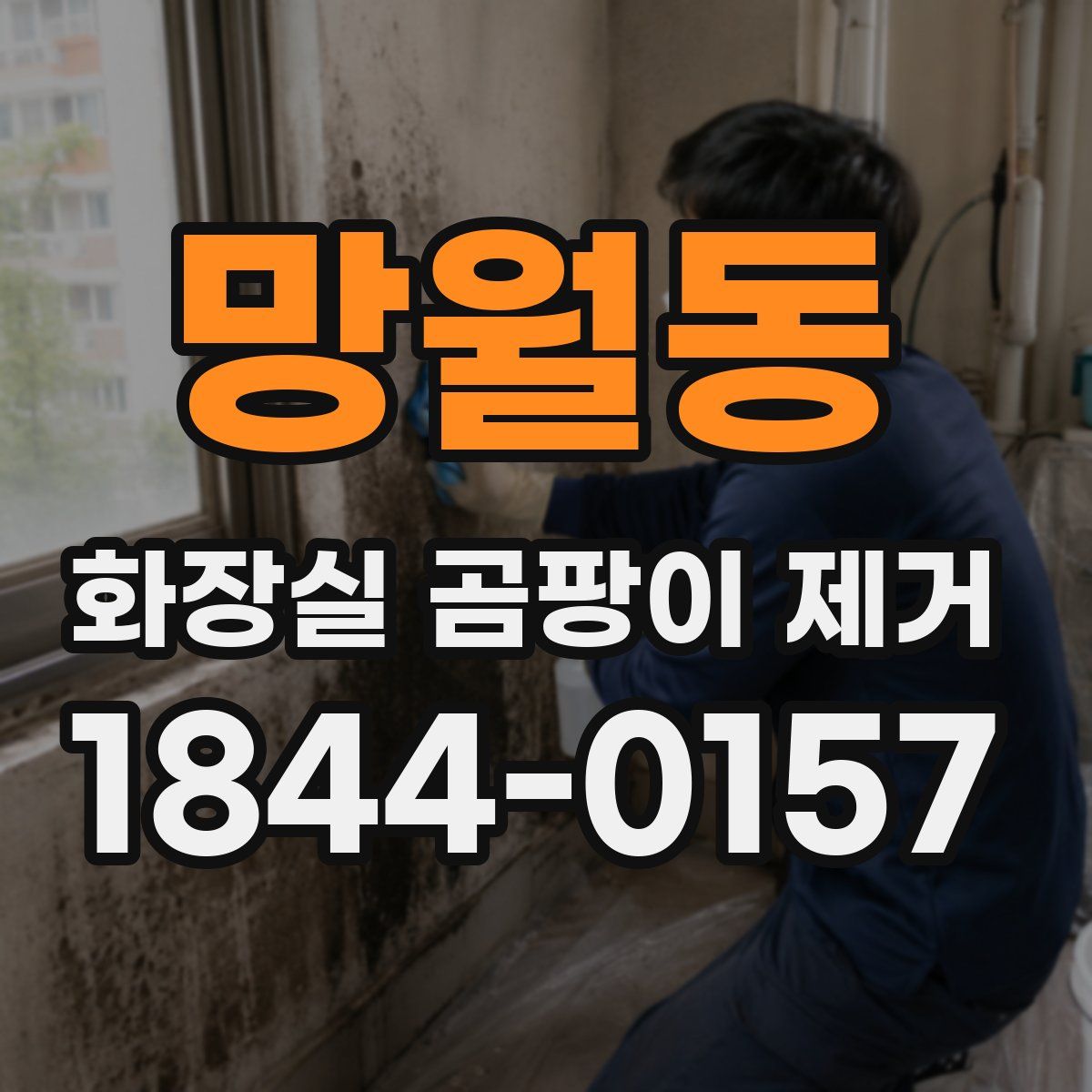 망월동 화장실 곰팡이 제거