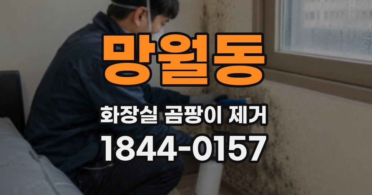 망월동 화장실 곰팡이 제거