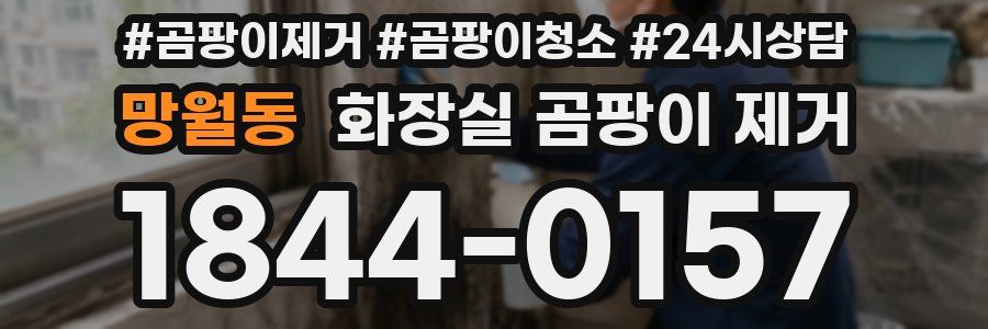 망월동 화장실 곰팡이 제거