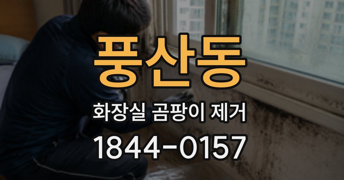 풍산동 화장실 곰팡이 제거