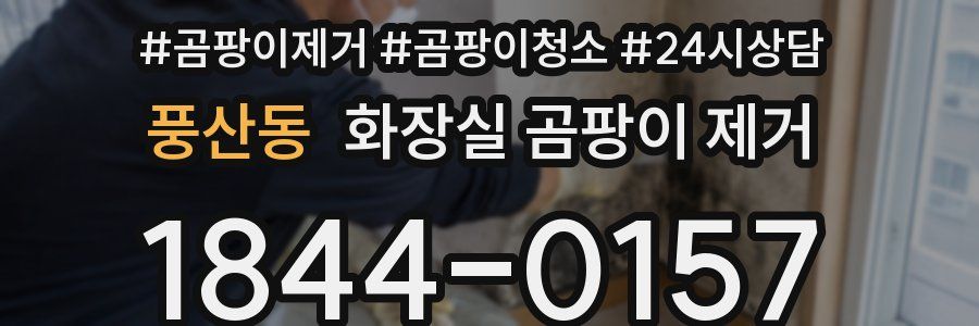 풍산동 화장실 곰팡이 제거
