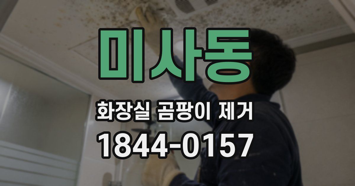 미사동 화장실 곰팡이 제거