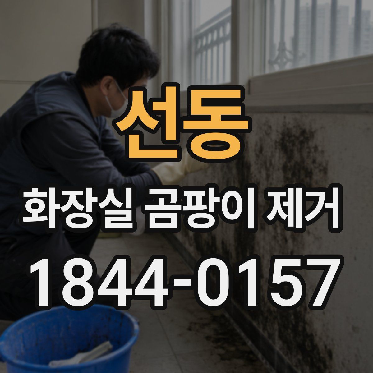 선동 화장실 곰팡이 제거