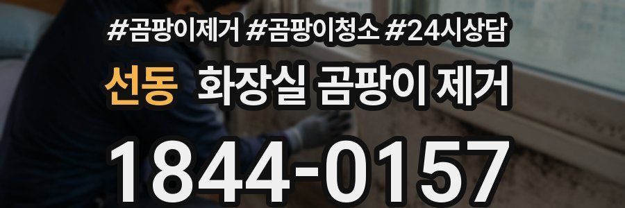선동 화장실 곰팡이 제거