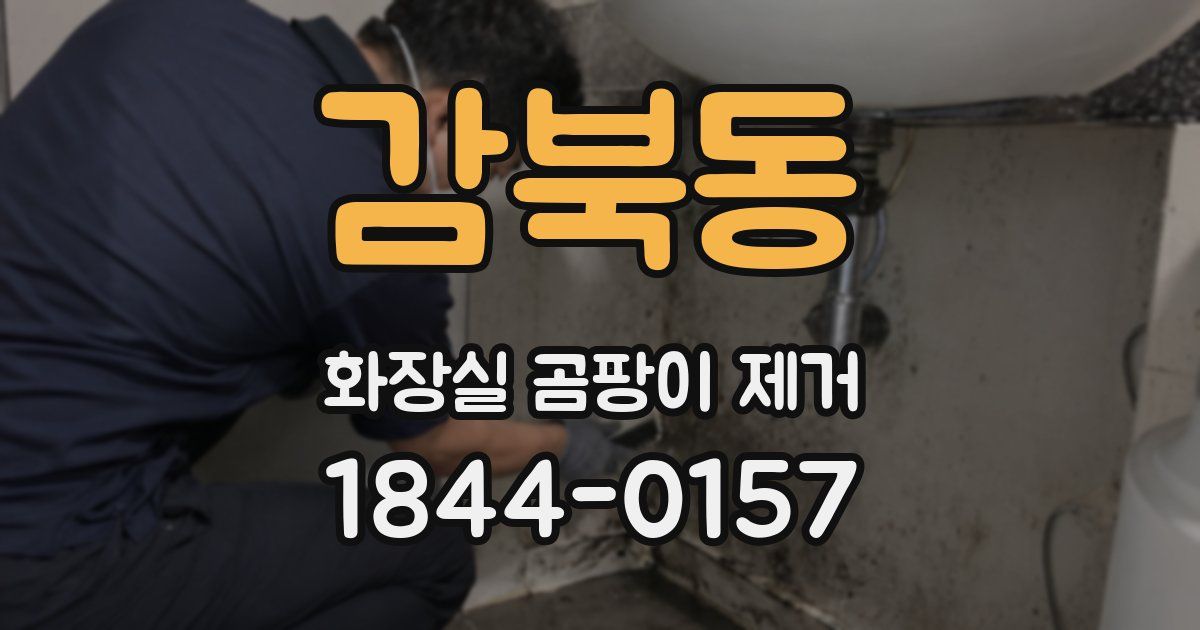 감북동 화장실 곰팡이 제거