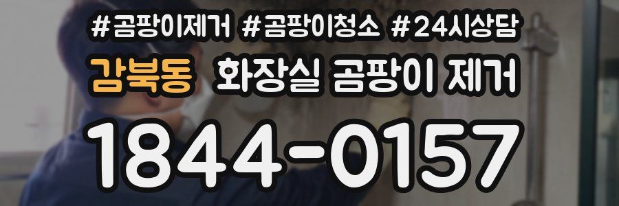 감북동 화장실 곰팡이 제거