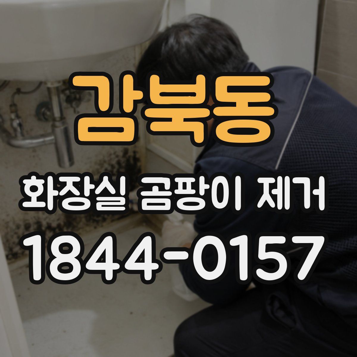 감북동 화장실 곰팡이 제거