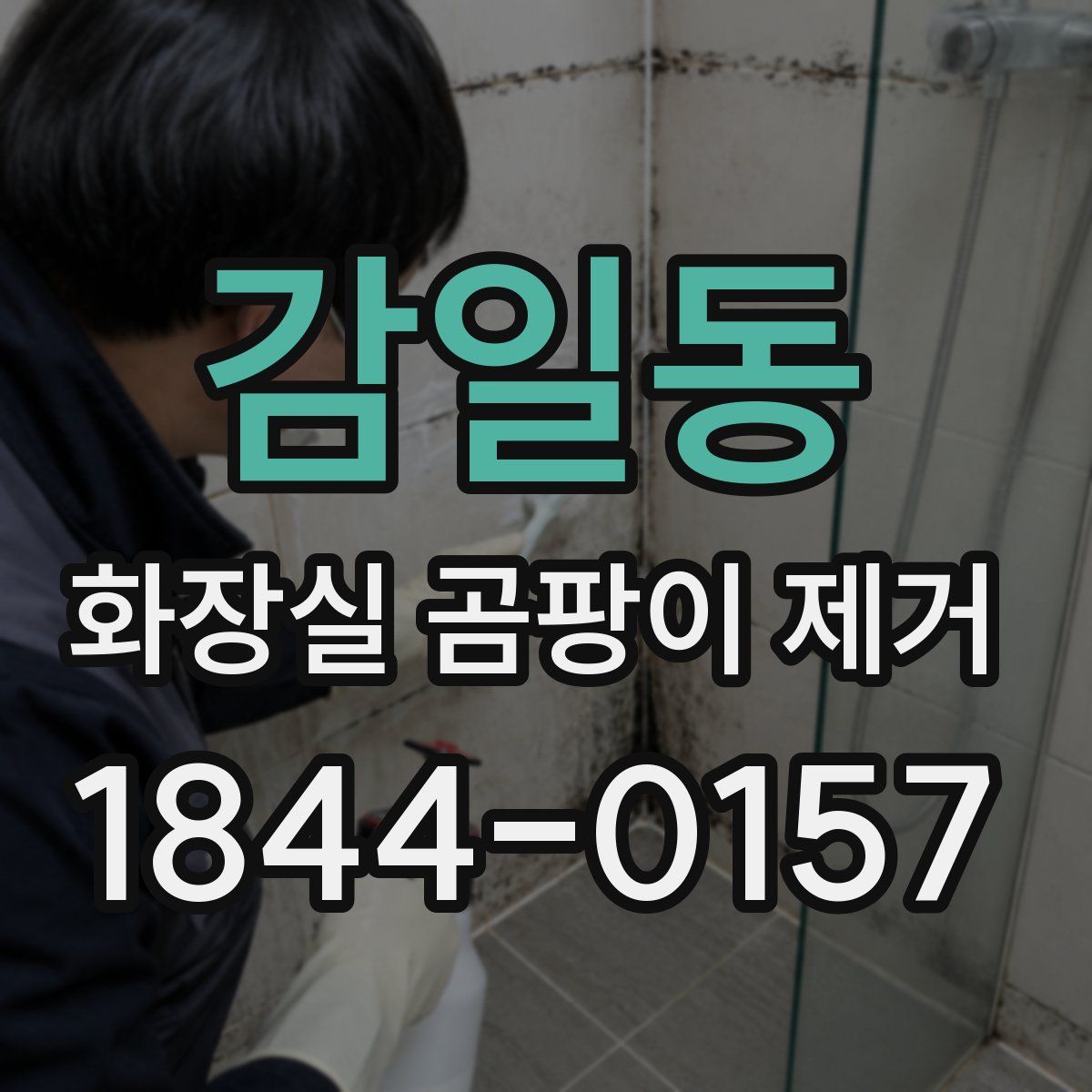 감일동 화장실 곰팡이 제거