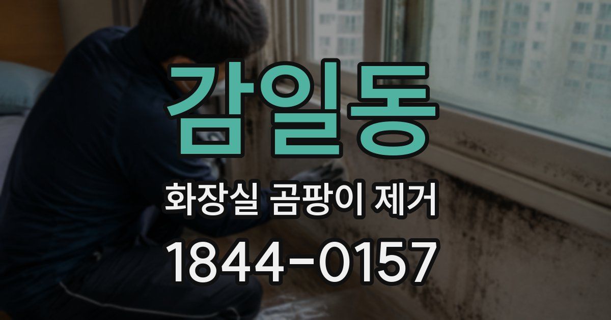 감일동 화장실 곰팡이 제거